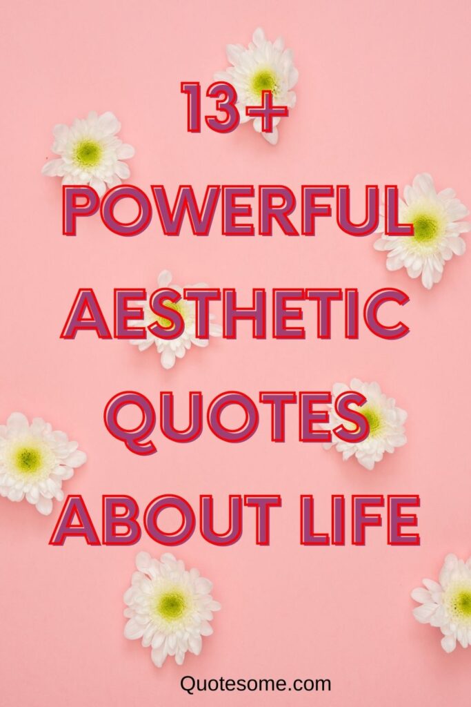 13+ Powerful Aesthetic Quotes About life - Quotesome